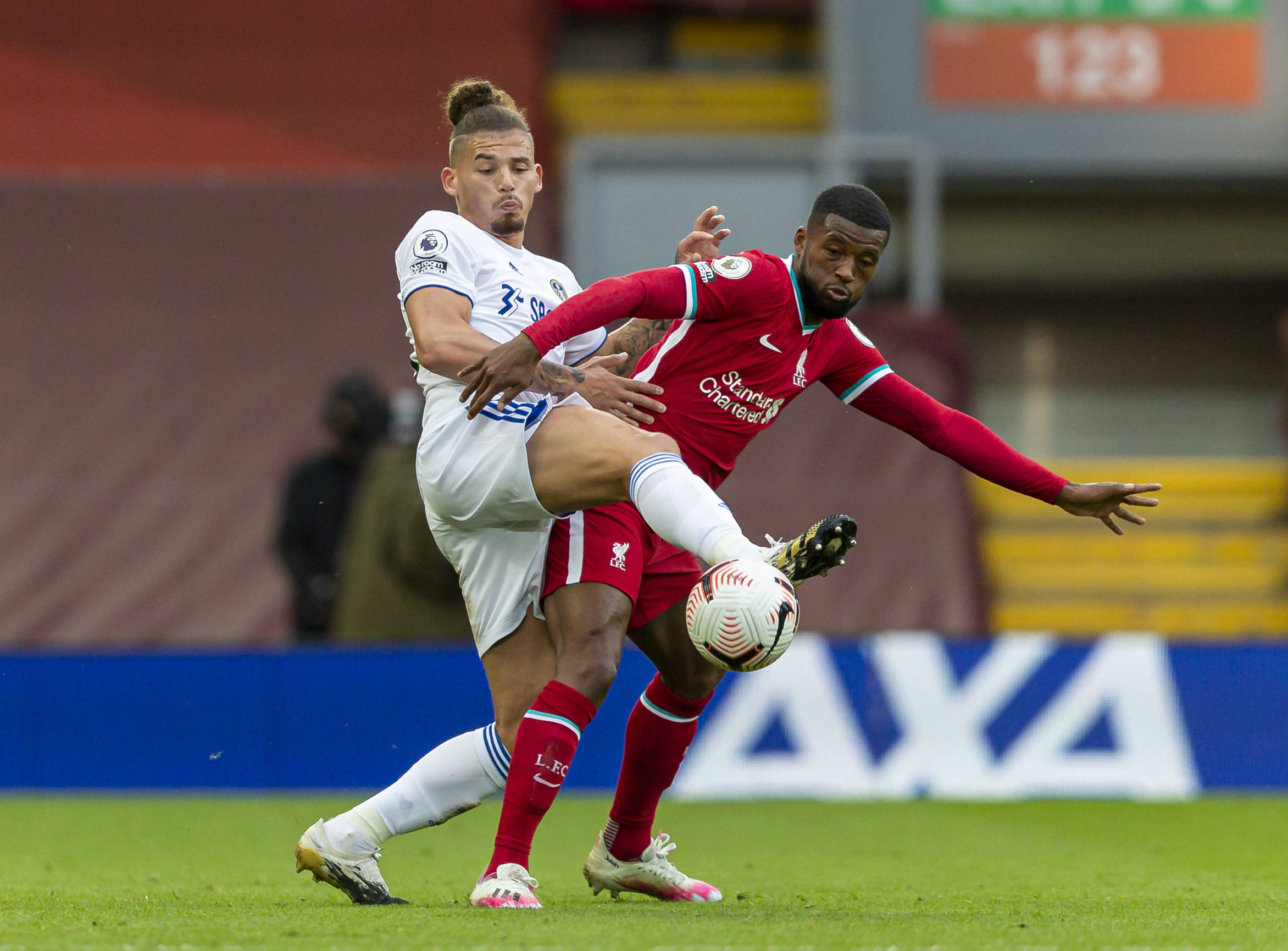 培养潜力股 培养潜力股